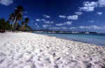 playa_bayahibe.jpg (63340 byte)